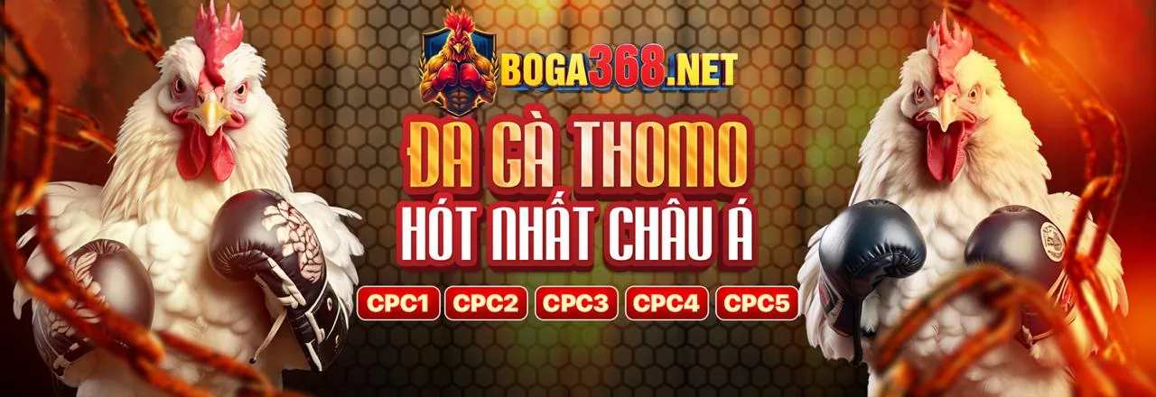 Đá gà trực tuyến kịch tính tại 8ok Nổ Hũ